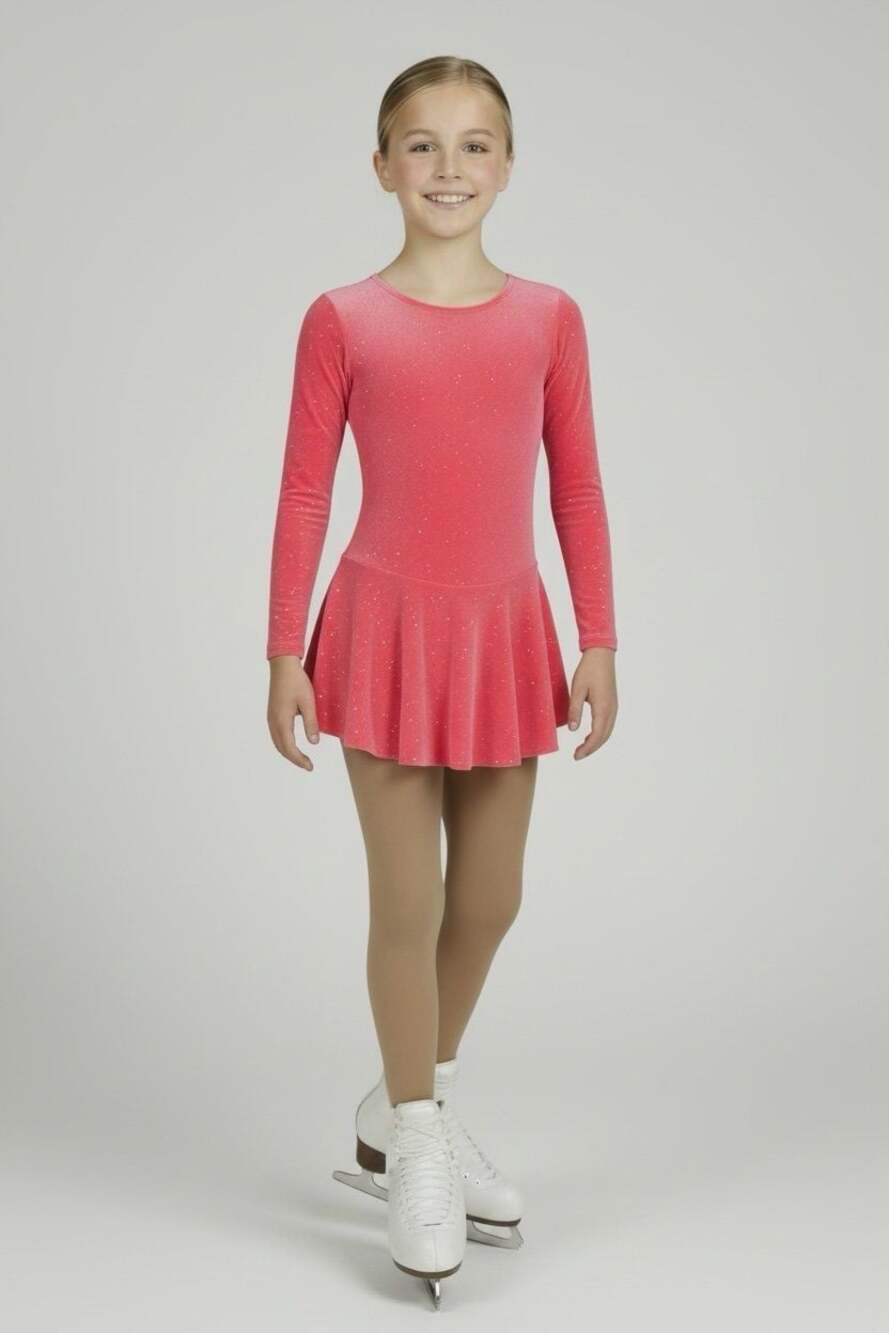 Ice skating Dance Competition Dress / Costume